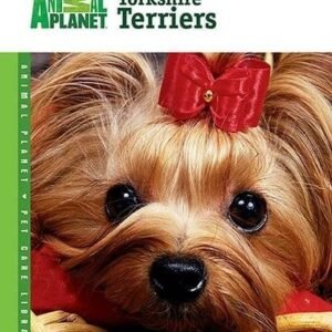 Yorkshire Terriers