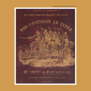 The-Campaign-in-India-1.png