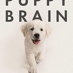 Puppy Brain