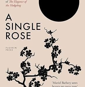 A Single Rose