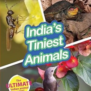 Indias Tiniest Animals