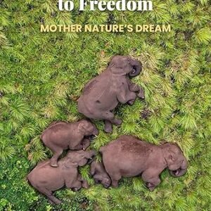 Elephant Wings To Freedom