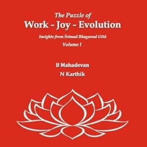The Puzzle Of Work Joy Evolution
