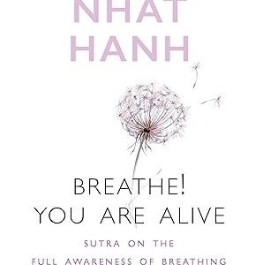 Breathe You Are Alive