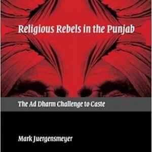 Religious Rebels In The Punjab