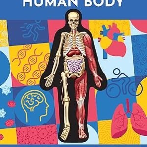 Inside Out Human Body