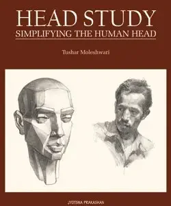 Head Study Simplifying The Human Head