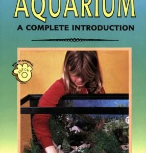 Setting Up An Aquarium A Complete Introduction
