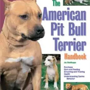 The American Pit Bull Terrier