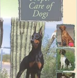 The Proper Care Of Dogs