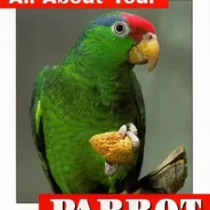 All About Your Parrot