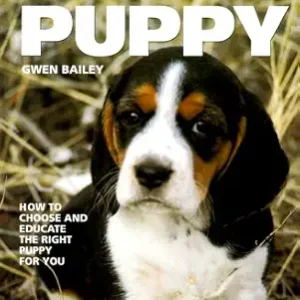The Ideal Puppy
