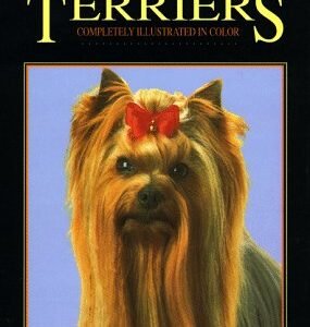 Yorkshire Terriers