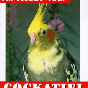 All About Your Cockatiel