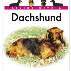 Living With A Dachshund