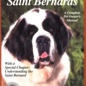 Saint Bernards