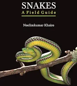 Indian Snakes A Field Guide