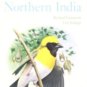 Field Guides Birds Of Northern India