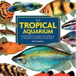 The Tropical Aquarium