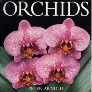 Orchids