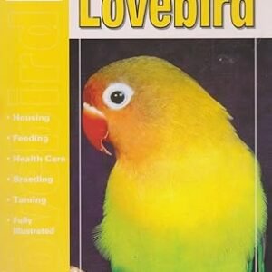 The Guide To Owning A Lovebird