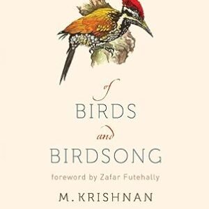 Birds And Birdsong