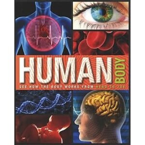 Human Body
