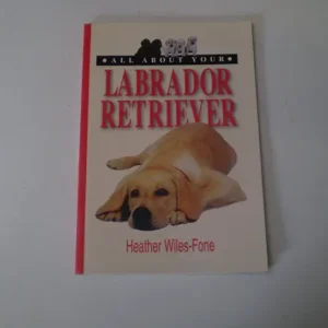 All About Your Labrador Retriever