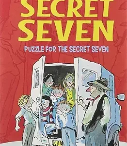 Puzzle For The Secret Seven 10