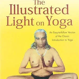 The Illustrated Light On Yoga