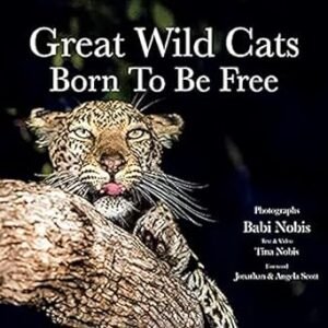 Great Wild Cats Born To Be Free