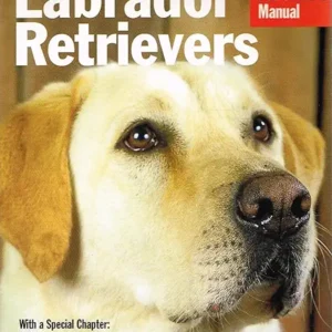 Labrador Retrievers