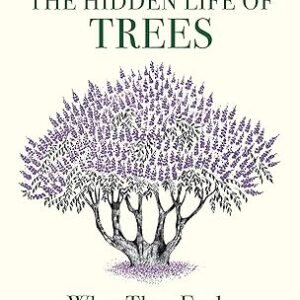 The Hidden Life Of Trees