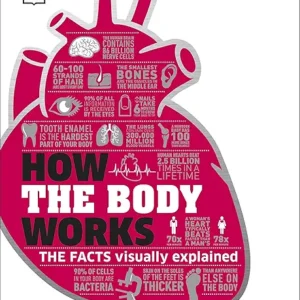 How The Body Works