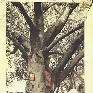 Gods, Graves And Grandmother