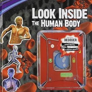 Look Inside The Human Body