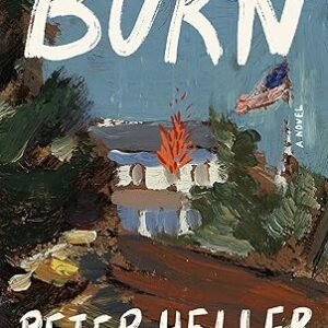 Burn A Novel