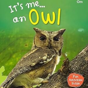 Its Me An Owl