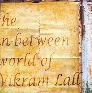 The In-Between World Of Vikram Lall