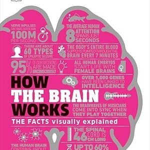 How The Brain Works