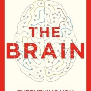The Brain: Everything You Need to Know
