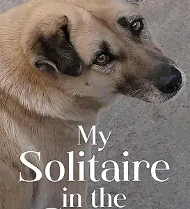 My Solitaire In The Street