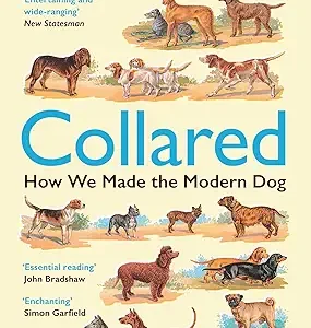 Collared How We Made The Modern Dog
