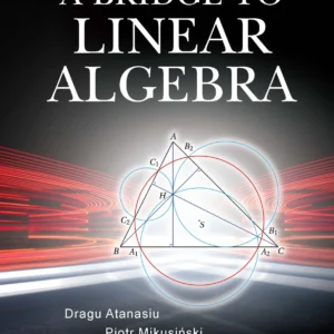 A Bridge To Linear Algebra