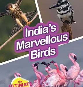 Indias Marvellous Birds