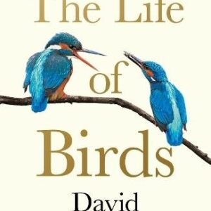 The Life Of Birds
