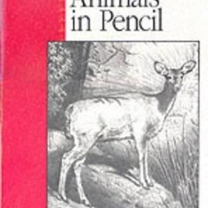 Wildlife Learn To Draw Step By Step