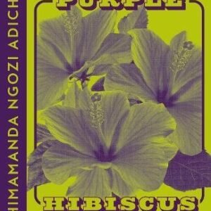 Purple Hibiscus