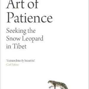 The Art Of Patience