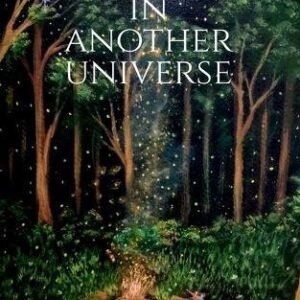 Meet Me In Another Universe